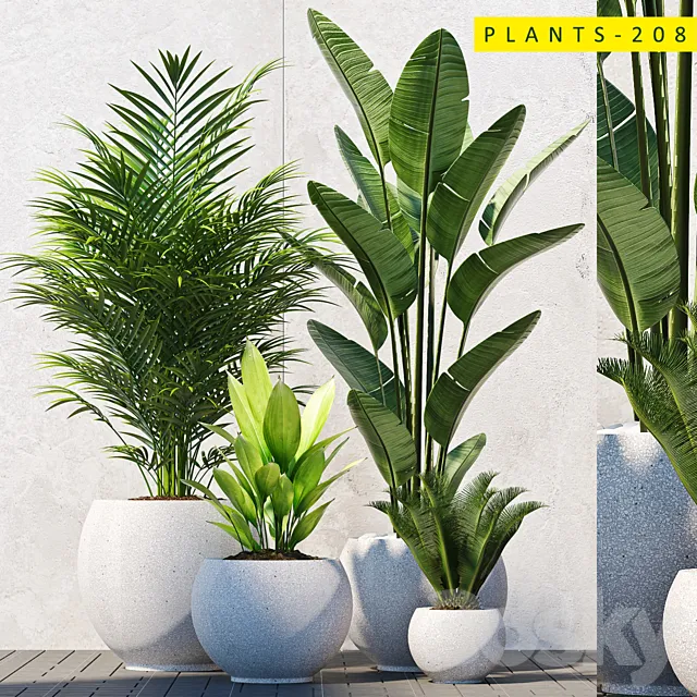 Plants – Flowers – 3D Models Download – Plants 208
