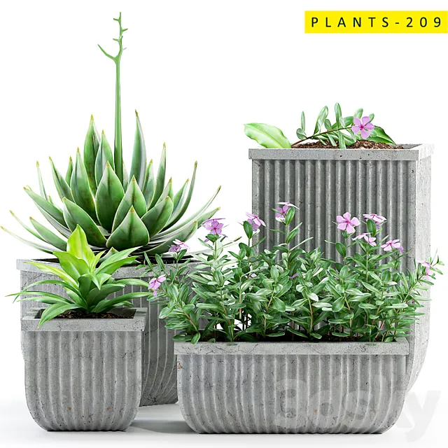 Plants – Flowers – 3D Models Download – Plants 209