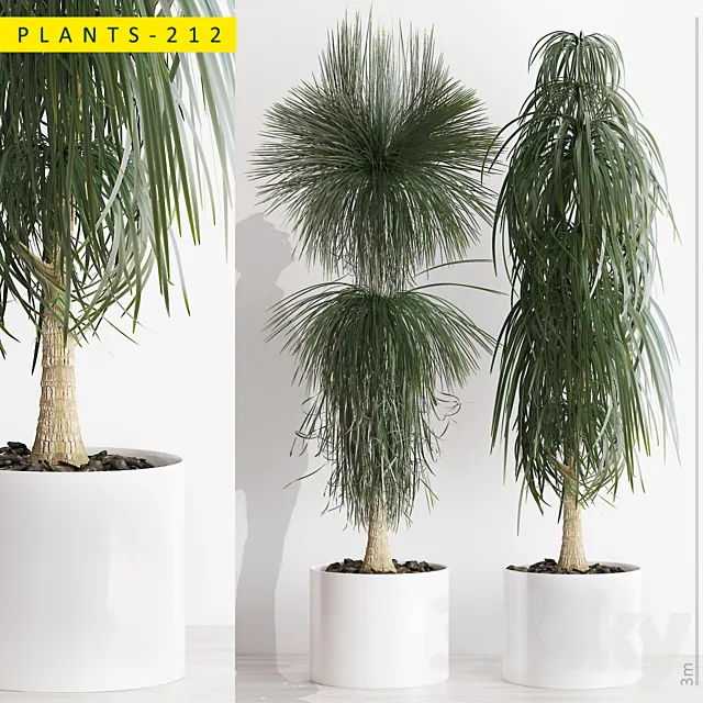 Plants – Flowers – 3D Models Download – PLANTS 212