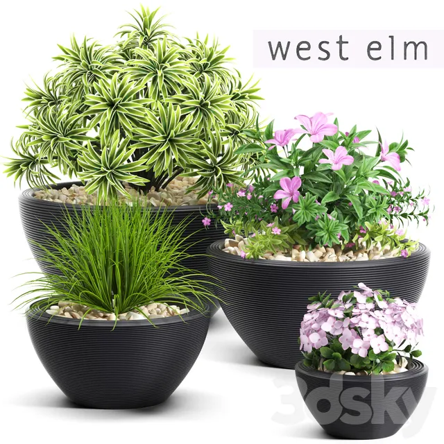 Plants – Flowers – 3D Models Download – Plants 54