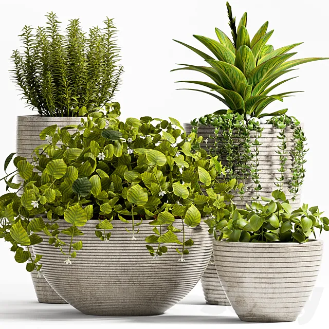 Plants – Flowers – 3D Models Download – Plants 57