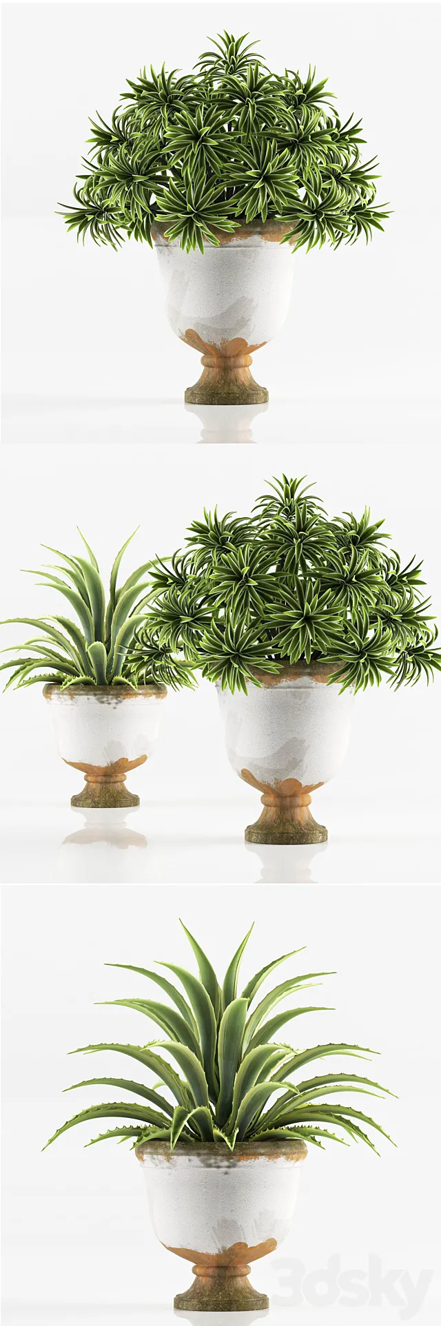 Plants – Flowers – 3D Models Download – PLANTS 6