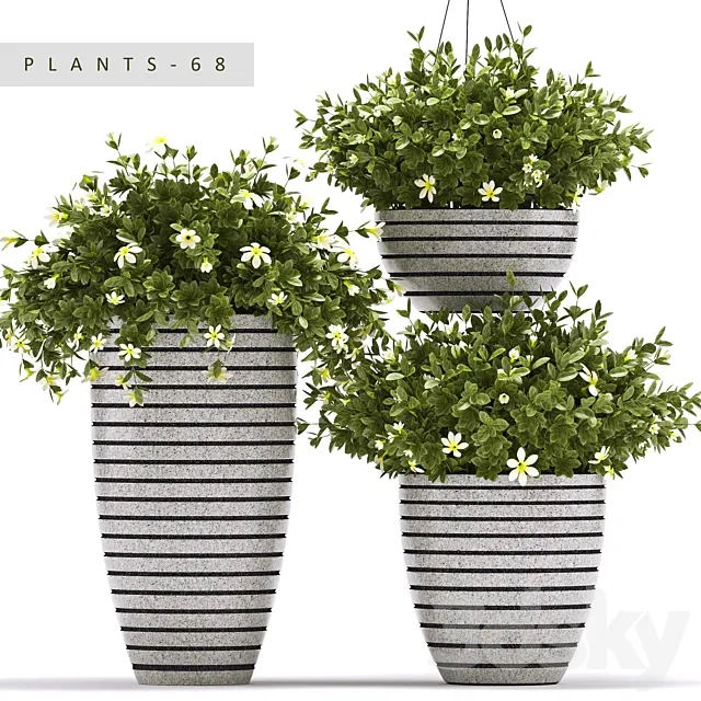 Plants – Flowers – 3D Models Download – PLANTS 68