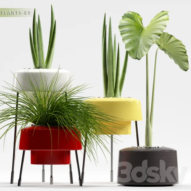 Plants – Flowers – 3D Models Download – PLANTS 89