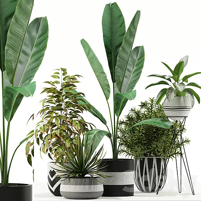 Plants – Flowers – 3D Models Download – Plants collection 114