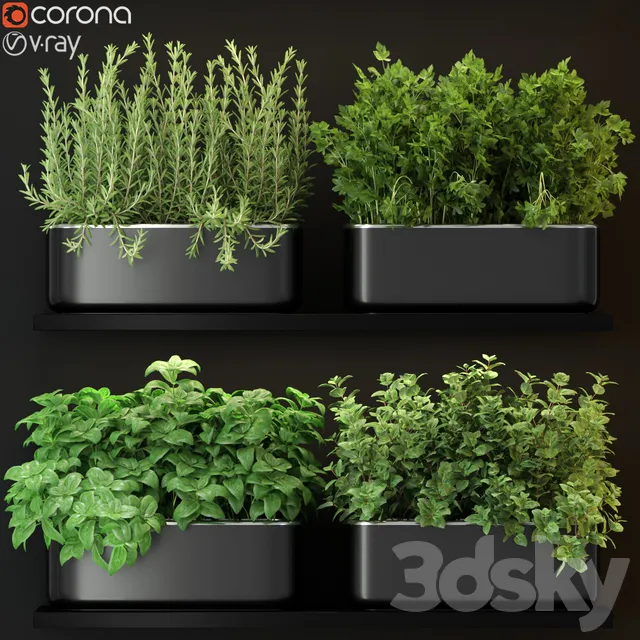 Plants – Flowers – 3D Models Download – Plants collection 262