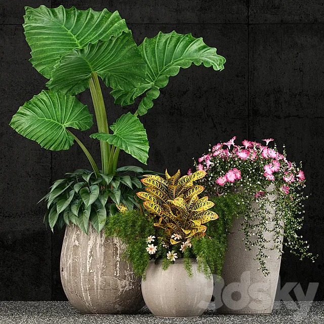 Plants – Flowers – 3D Models Download – Plants collection 52