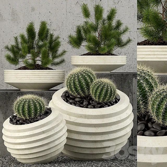 Plants – Flowers – 3D Models Download – Plants collection 58