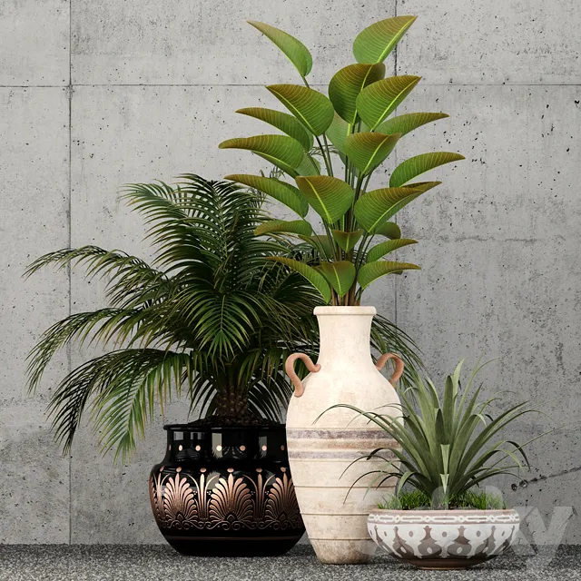 Plants – Flowers – 3D Models Download – Plants collection 59