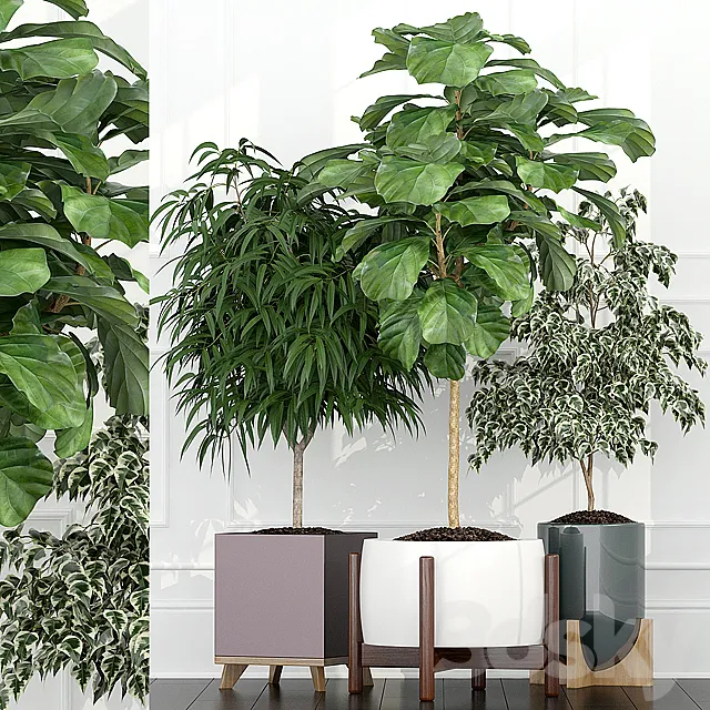 Plants – Flowers – 3D Models Download – Plants collection 67