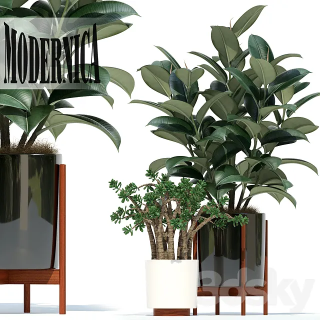 Plants – Flowers – 3D Models Download – Plants collection 72 Modernica Pots