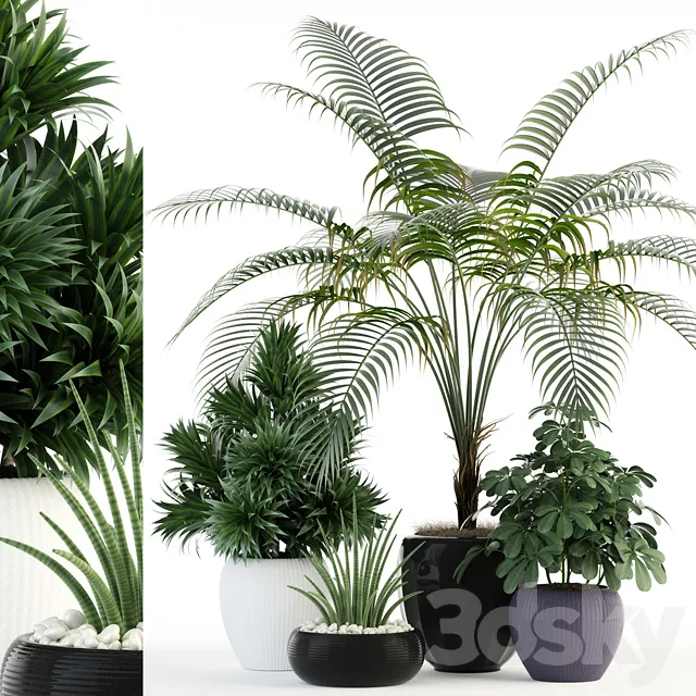 Plants – Flowers – 3D Models Download – Plants Collection 86