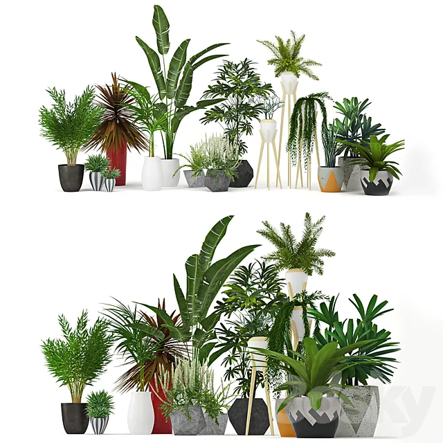Plants – Flowers – 3D Models Download – Plants Collection