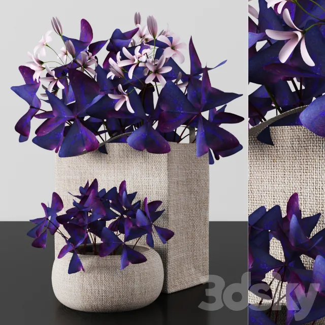 Plants – Flowers – 3D Models Download – Plants tree 54