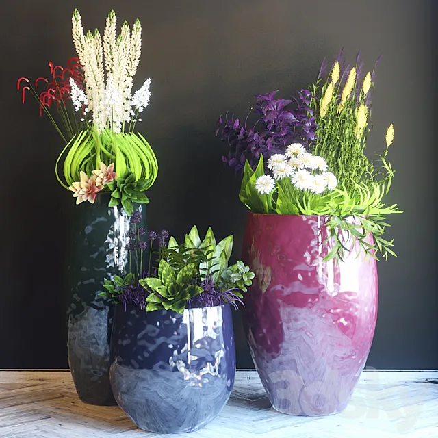 Plants – Flowers – 3D Models Download – Pots with flowers