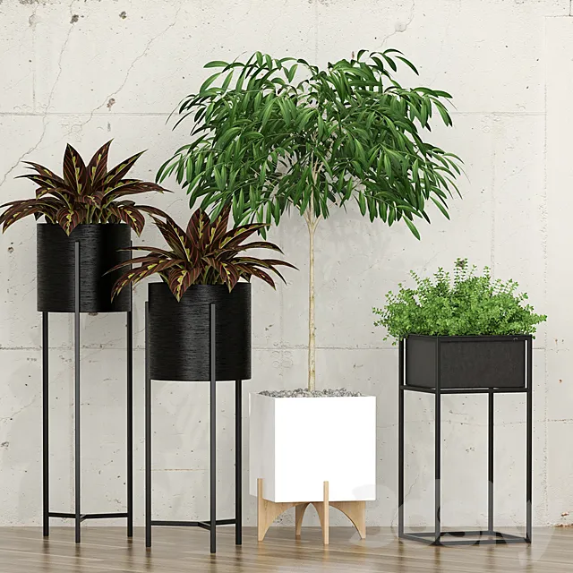 Plants – Flowers – 3D Models Download – Potted plants 10