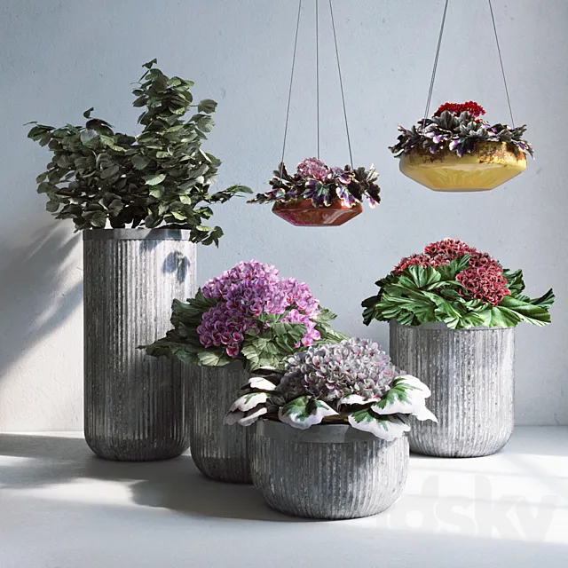 Plants – Flowers – 3D Models Download – Pottery Barn Planters