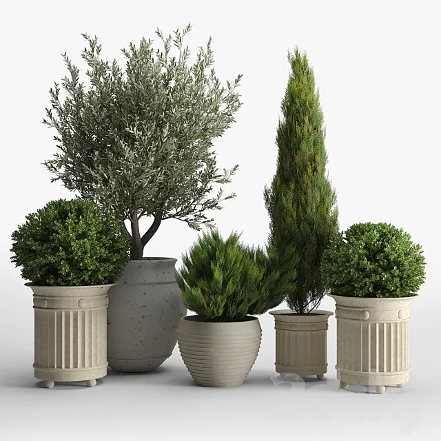 Plants – Flowers – 3D Models Download – Prescott planter set