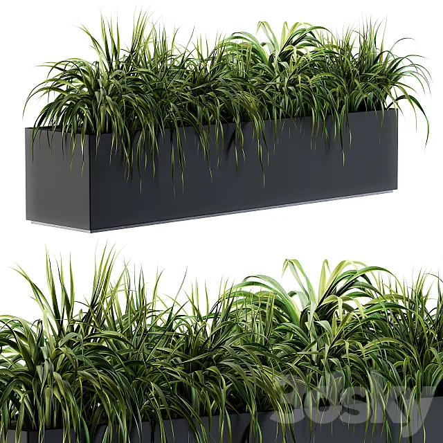 Plants – Flowers – 3D Models Download – Ranch Grass plants in box