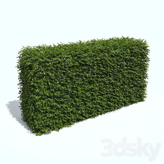 Plants – Flowers – 3D Models Download – Regular hedges