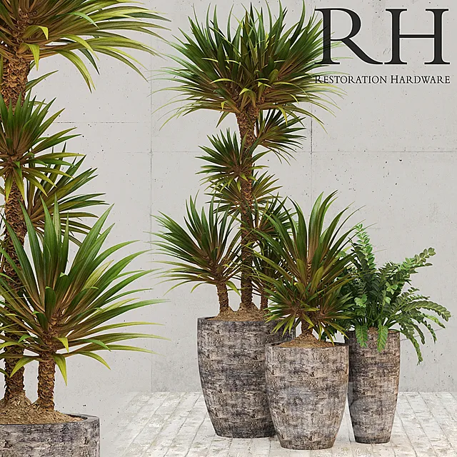 Plants – Flowers – 3D Models Download – Restoration Hardware corso planter