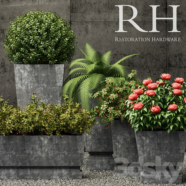Plants – Flowers – 3D Models Download – Restoration Hardware pedestal sheet metal planters