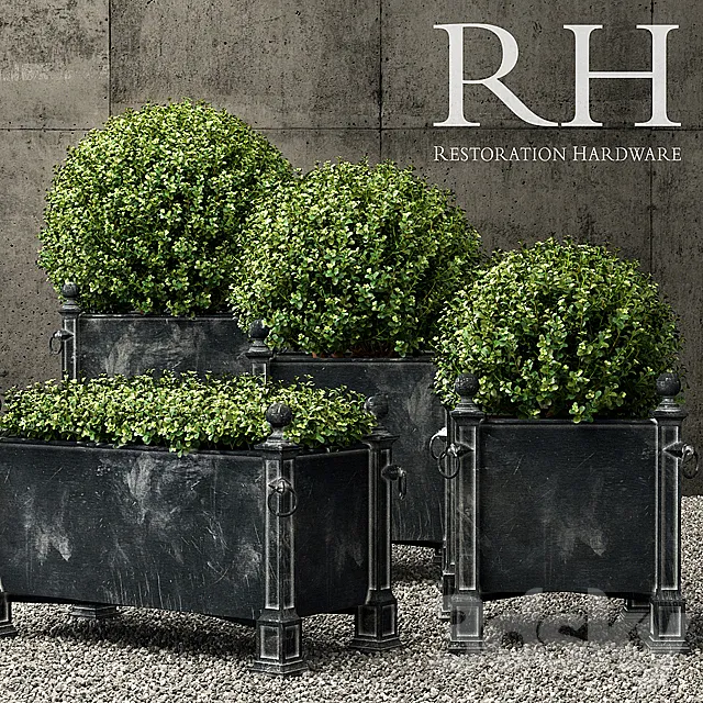 Plants – Flowers – 3D Models Download – Restoration Hardware versailles weathered zinc planters