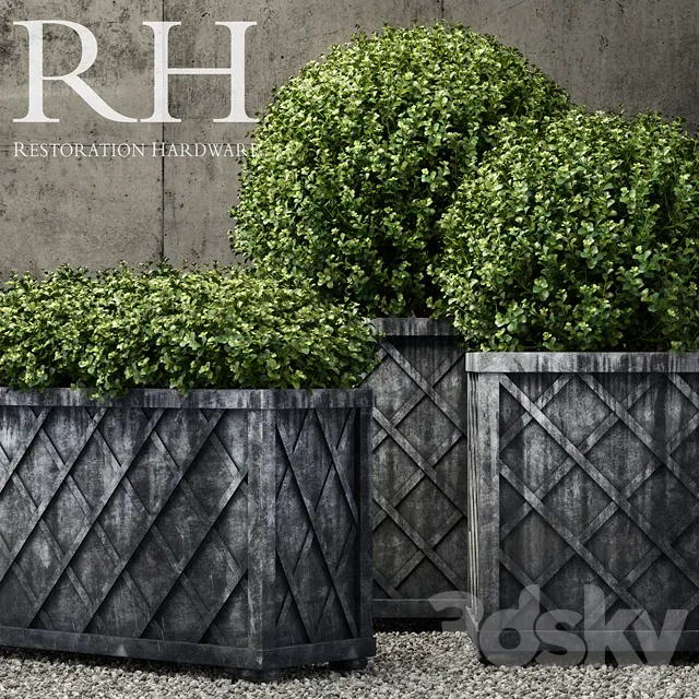 Plants – Flowers – 3D Models Download – Restoration Hardware weathered steel lattice planters