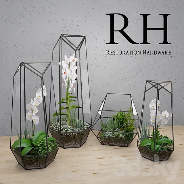 Plants – Flowers – 3D Models Download – RH FACETED GLASS TERRARIUM