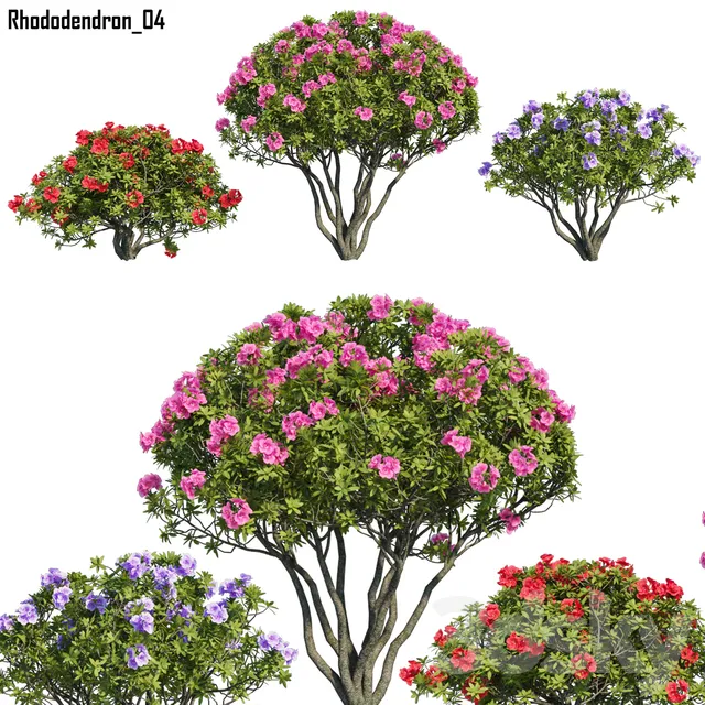 Plants – Flowers – 3D Models Download – Rhododendron 04 (max; fbx)