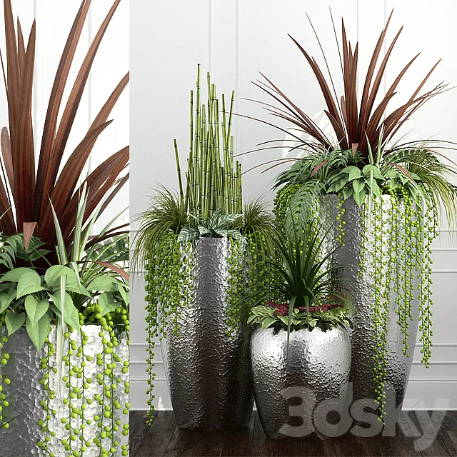 Plants – Flowers – 3D Models Download – Room plants 12