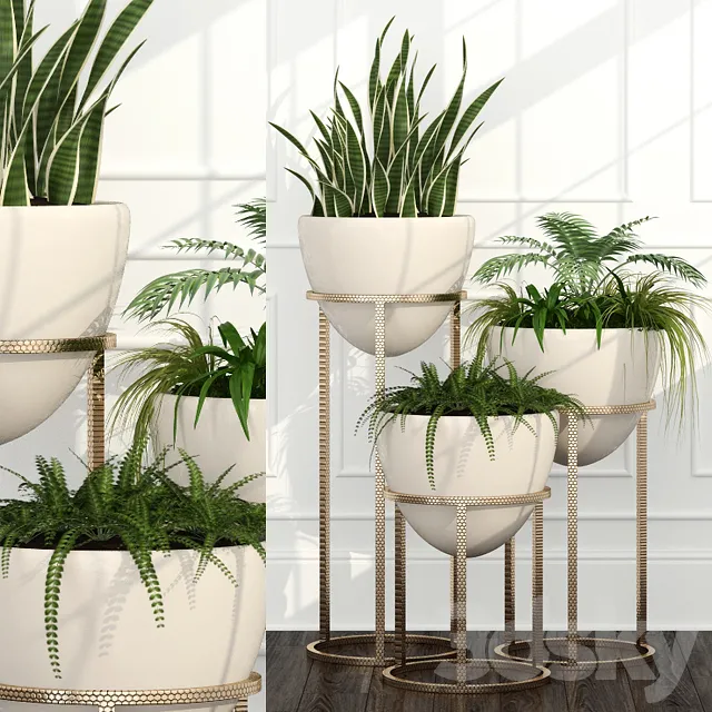 Plants – Flowers – 3D Models Download – Room plants 14