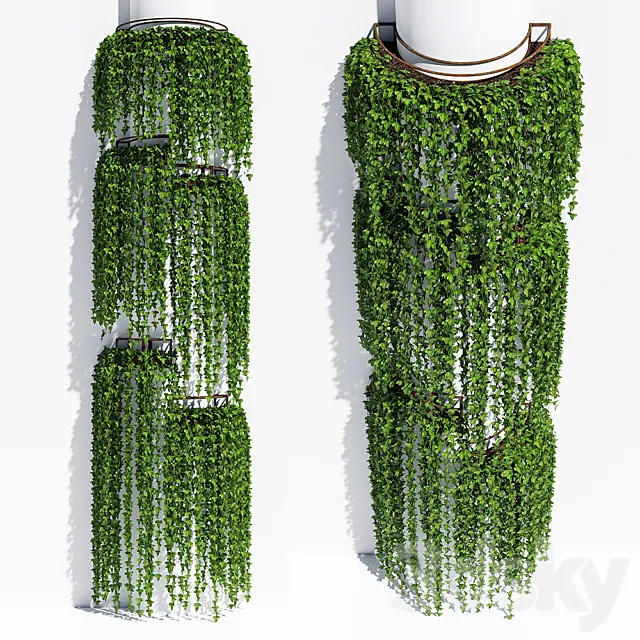 Plants – Flowers – 3D Models Download – Round box ivy
