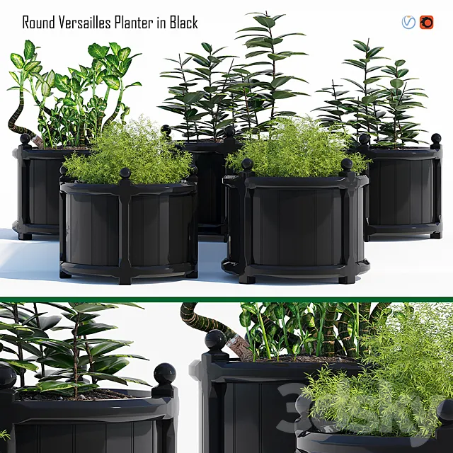 Plants – Flowers – 3D Models Download – Round versailles planter 2