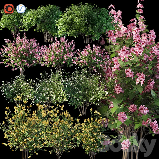 Plants – Flowers – 3D Models Download – Set flowering shrubs 4