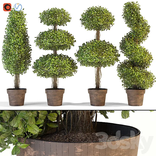 Plants – Flowers – 3D Models Download – Set of decorative trees