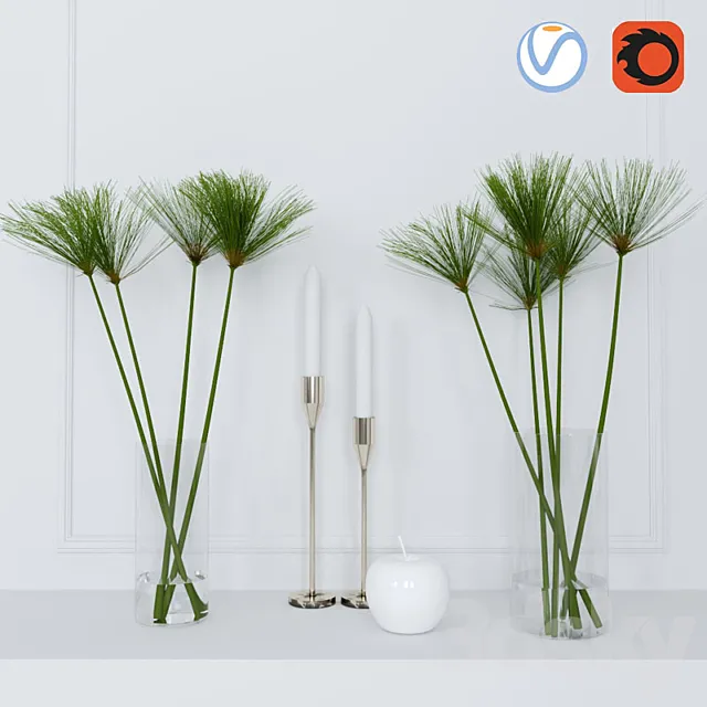 Plants – Flowers – 3D Models Download – Shoots of papyrus in a glass vase