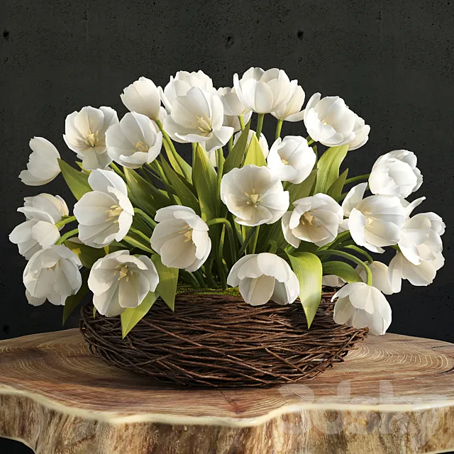 Plants – Flowers – 3D Models Download – spring tulips in the nest