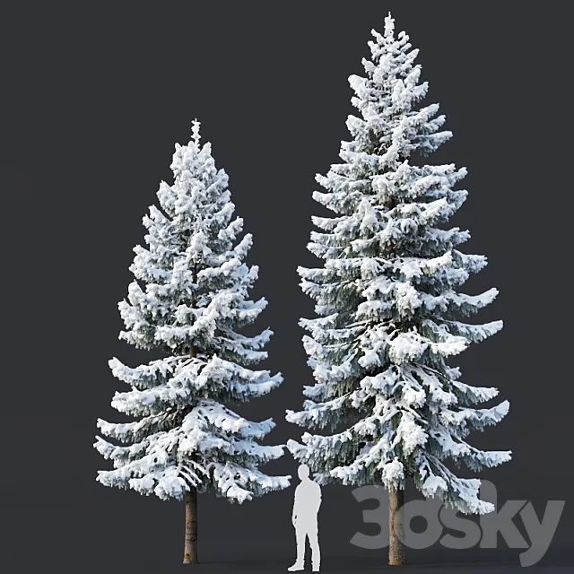 Plants – Flowers – 3D Models Download – Spruce 6 Two sizes H8-10m. Modular branches