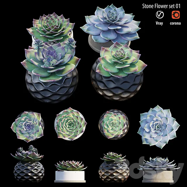 Plants – Flowers – 3D Models Download – Stone flower set 01