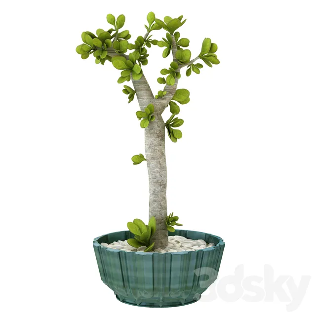 Plants – Flowers – 3D Models Download – Table plant