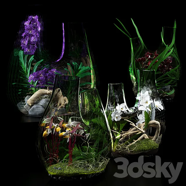 Plants – Flowers – 3D Models Download – Terrarium vases with Orchids