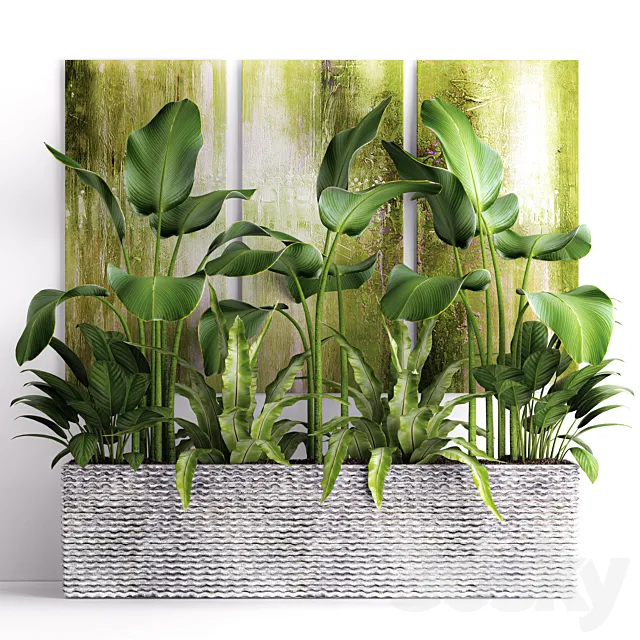Plants – Flowers – 3D Models Download – The collection of plants in pots 16