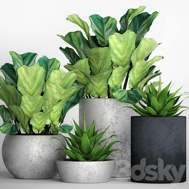 Plants – Flowers – 3D Models Download – The collection of plants in pots 18