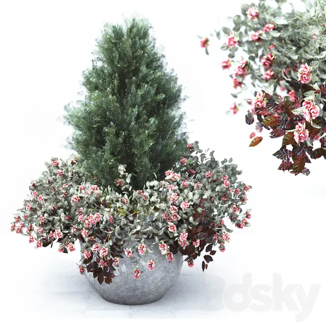 Plants – Flowers – 3D Models Download – The last day of Summer