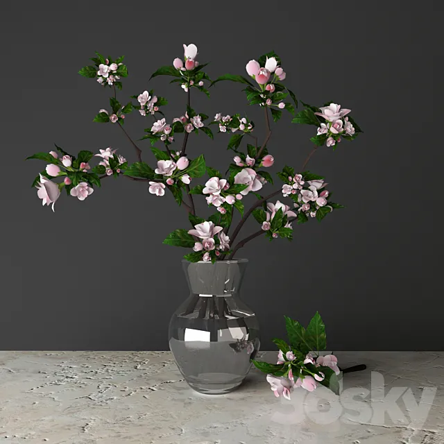 Plants – Flowers – 3D Models Download – Tsyvety Apple
