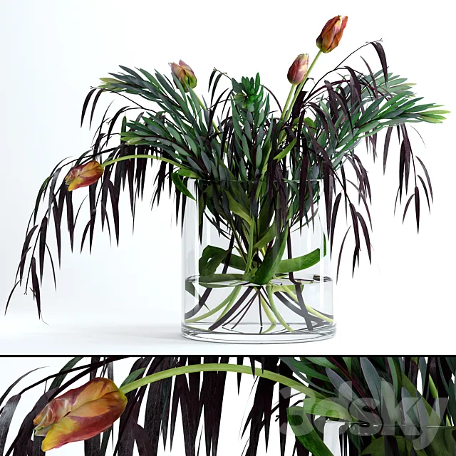 Plants – Flowers – 3D Models Download – Tulips & Co