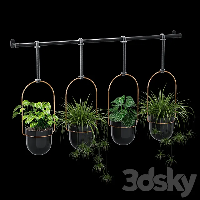 Plants – Flowers – 3D Models Download – Umbra