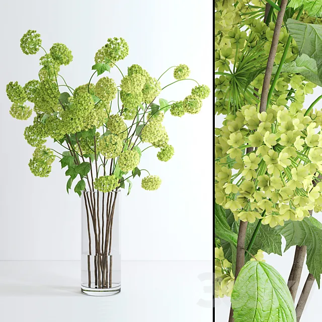 Plants – Flowers – 3D Models Download – Viburnum branches (max 2011; fbx)