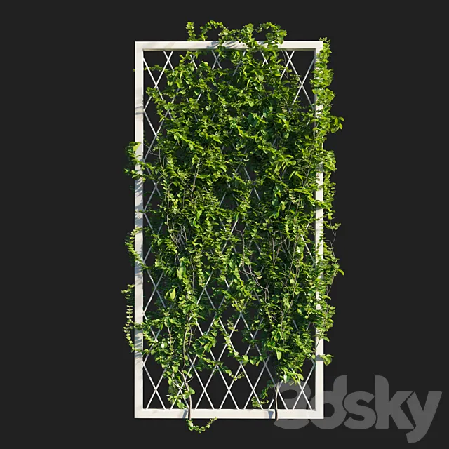 Plants – Flowers – 3D Models Download – Vines on wall